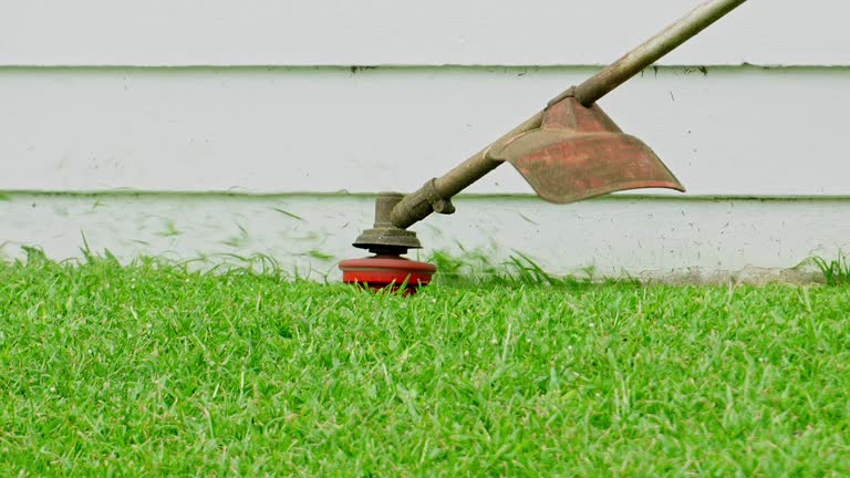 Best Tree Preservation Services  in Cameron Park, TX